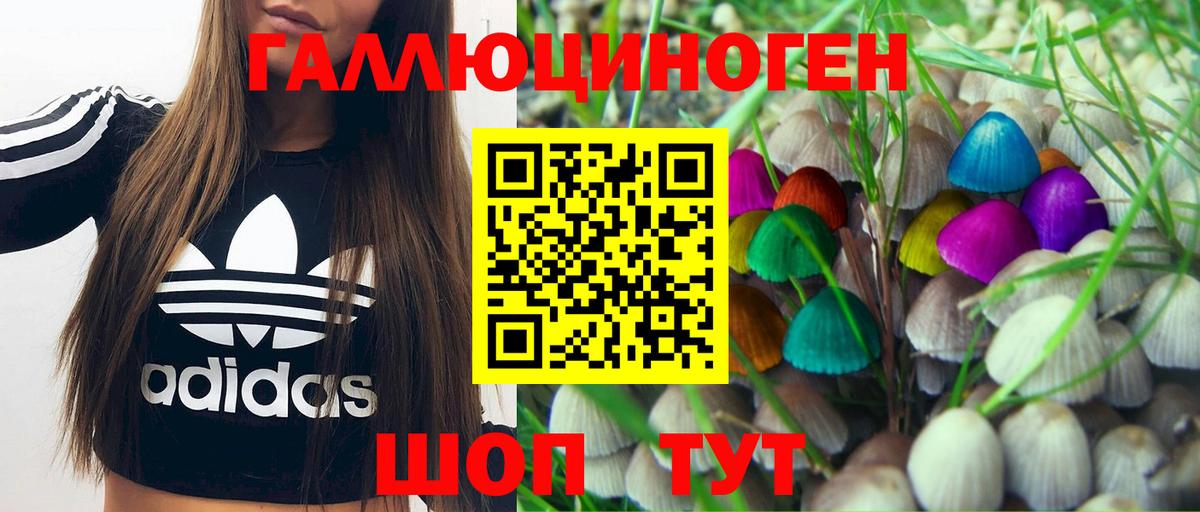 Галлюциногенные грибы Psilocybine cubensis  Вход с VPN  Бузулук 